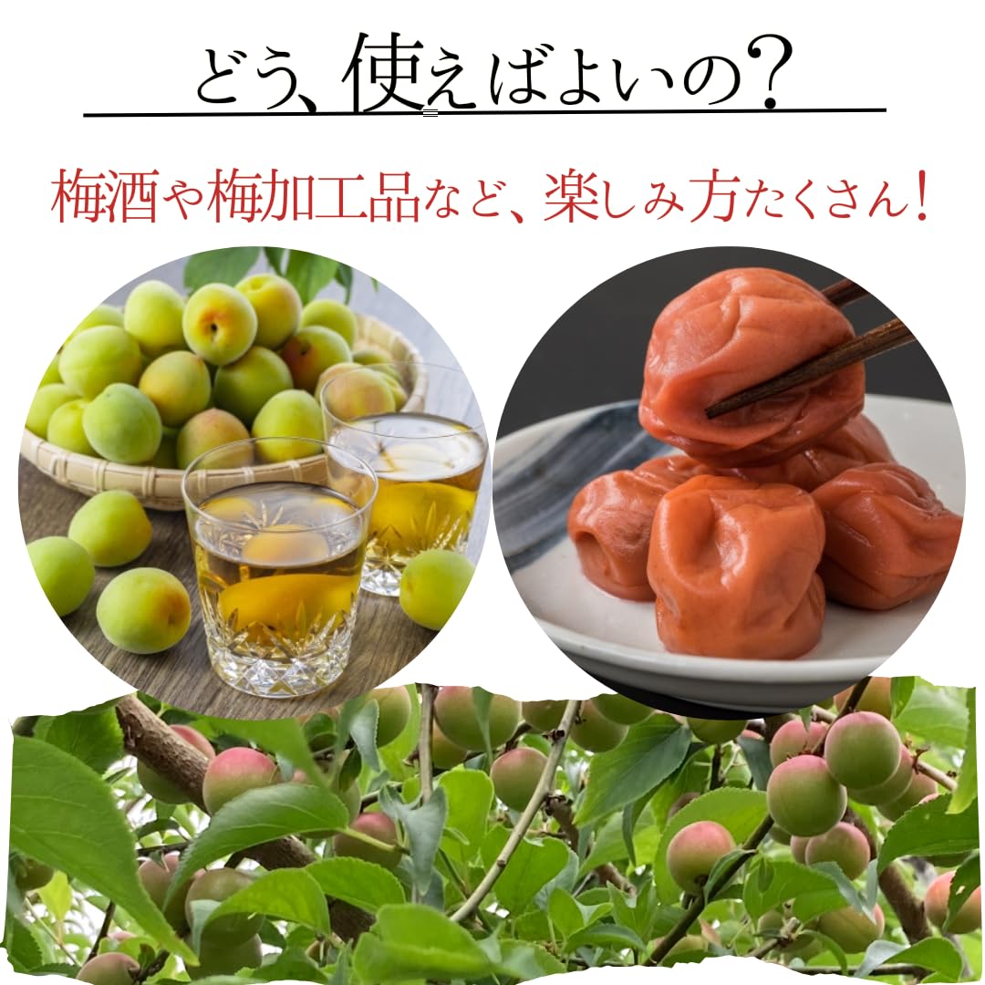Amazon.co.jp: 【青いダイヤと称される小梅】 愛媛県産 七折小梅 3kg